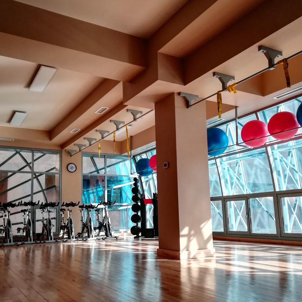 Gold's Gym