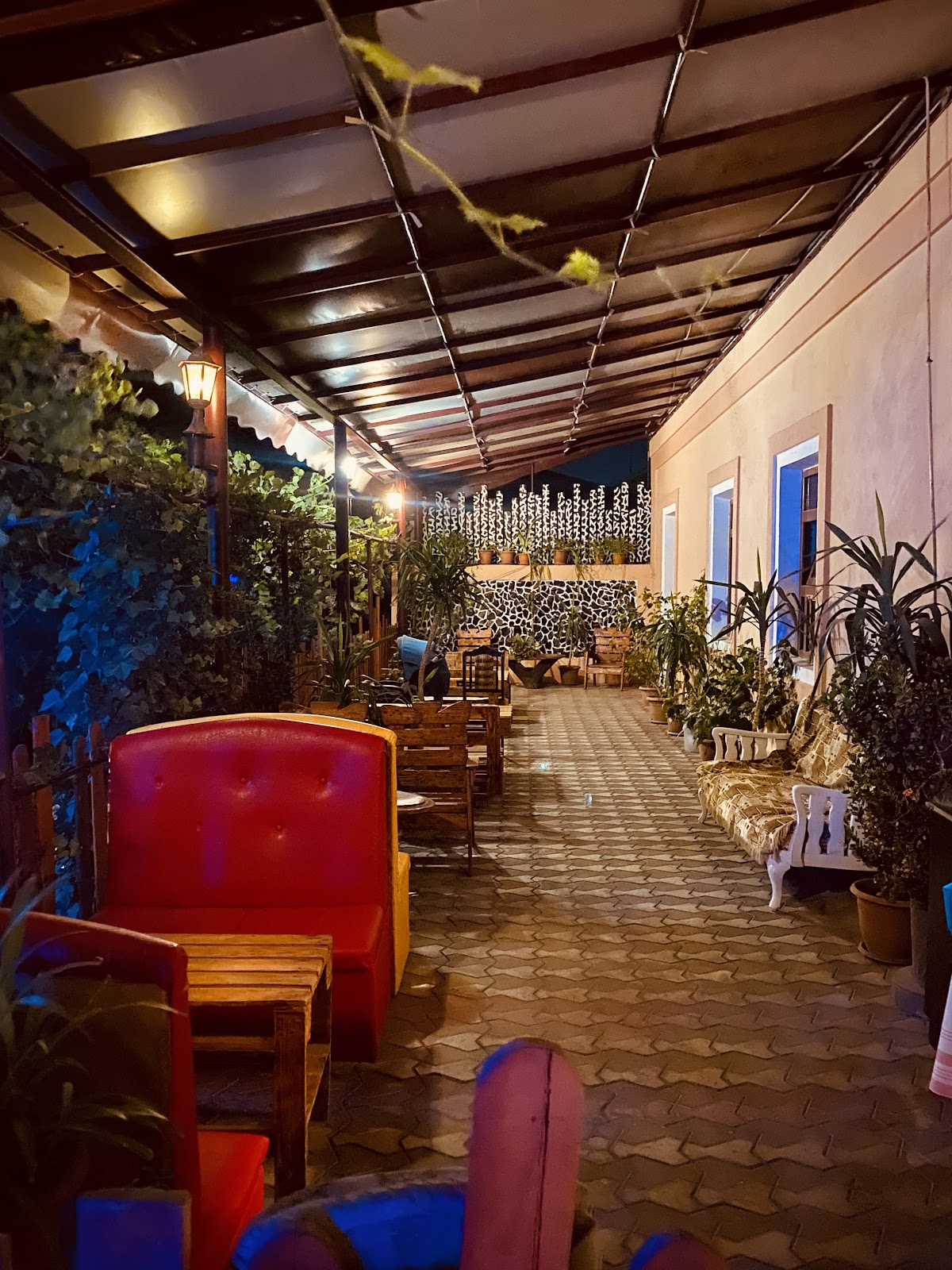 Hotel ECO