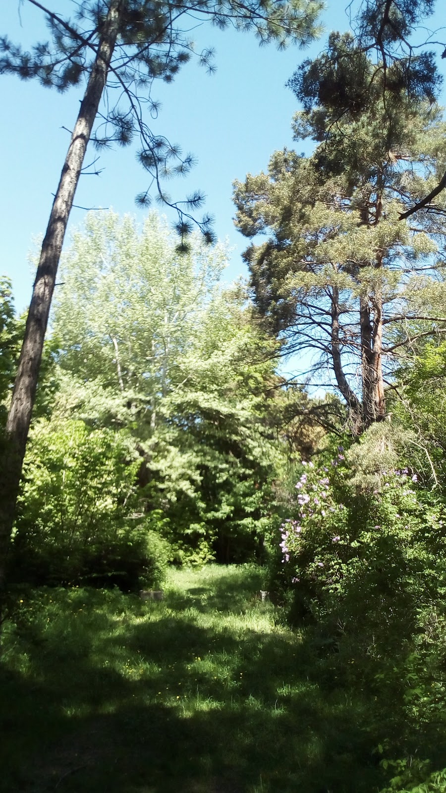 Sevan Botanical Garden