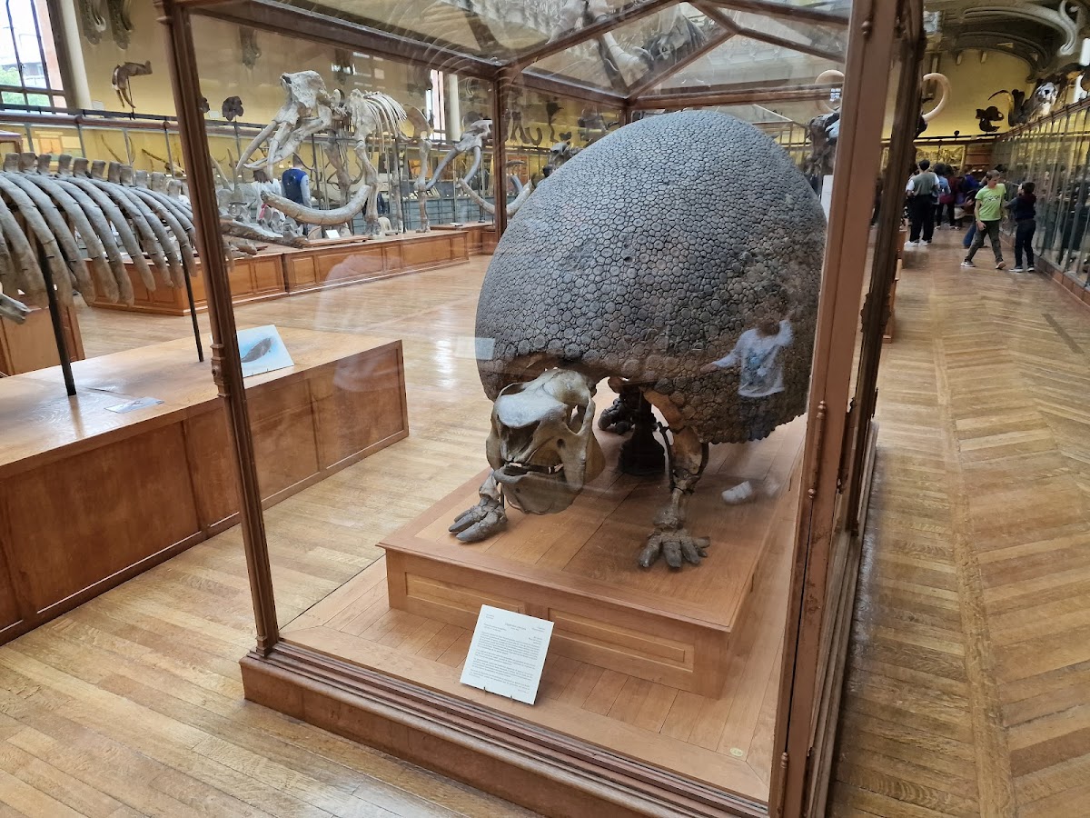 National Museum of Natural History