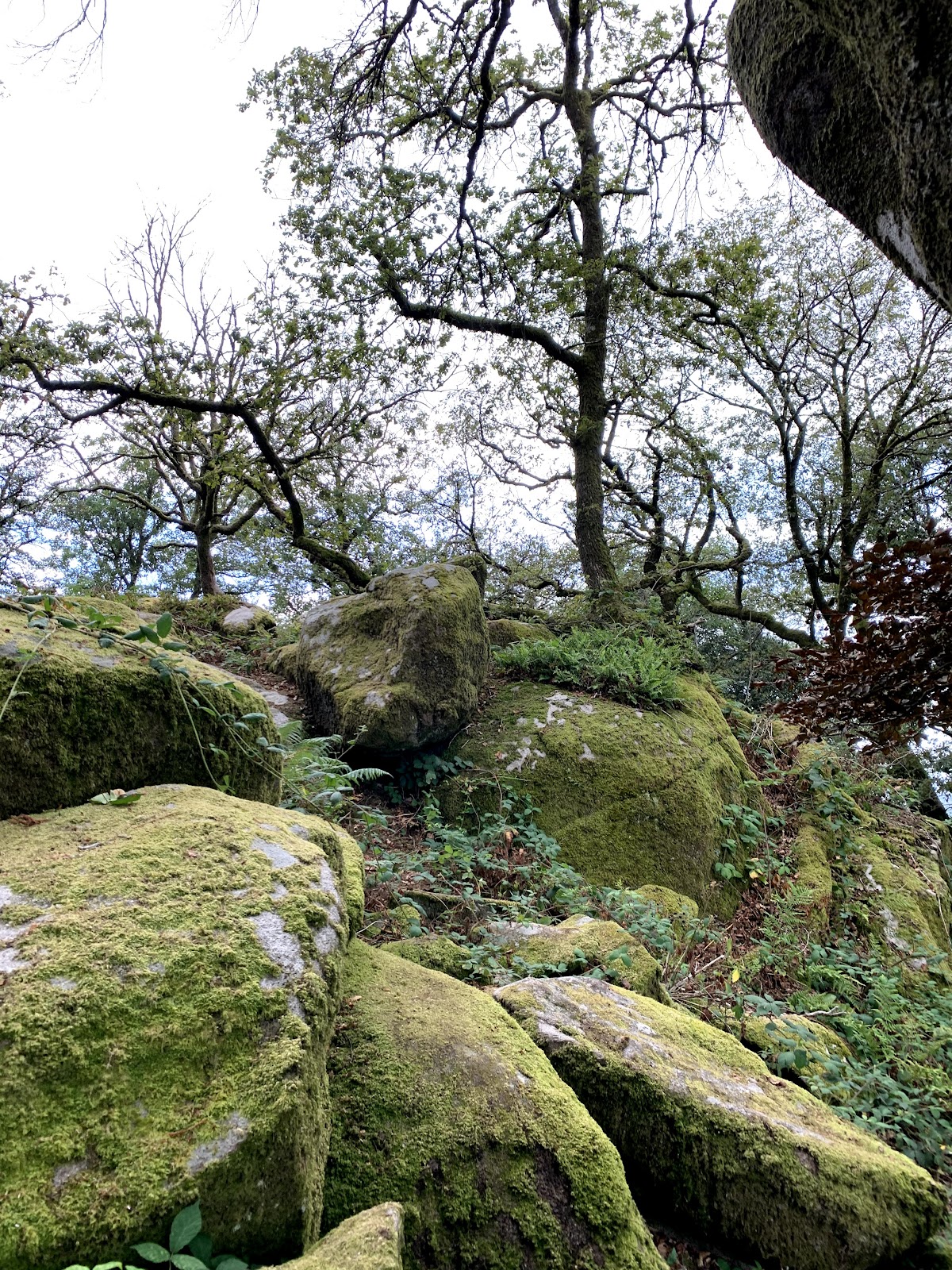 Les Trois Cornes