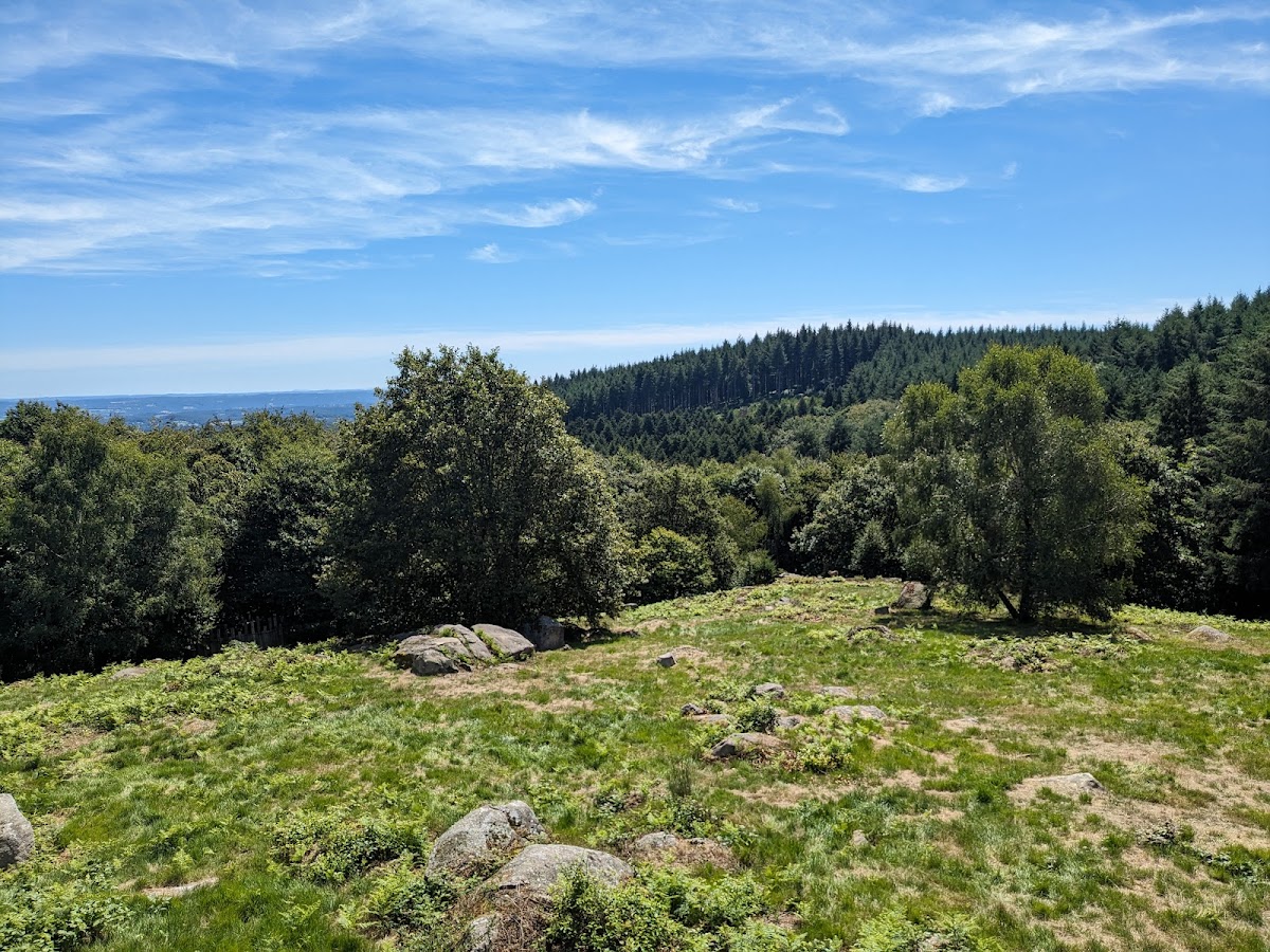 The Wolves of Chabrières