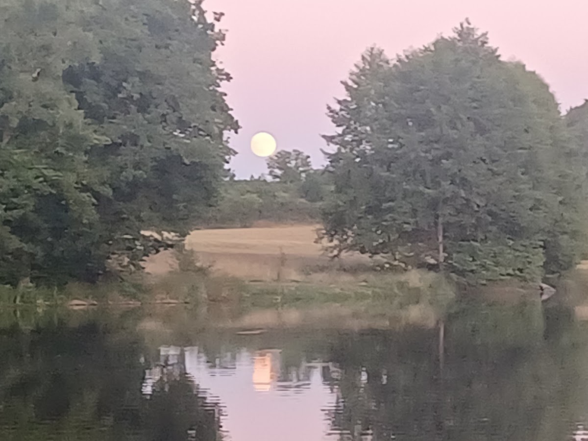 Pleasure Lake France