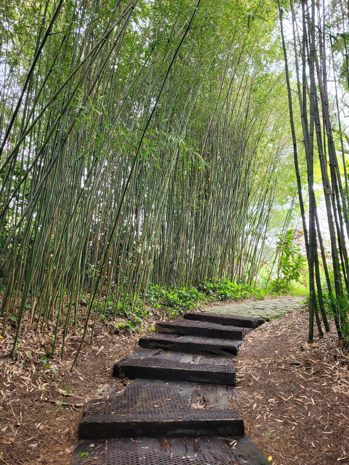 Bayonne Botanical Garden